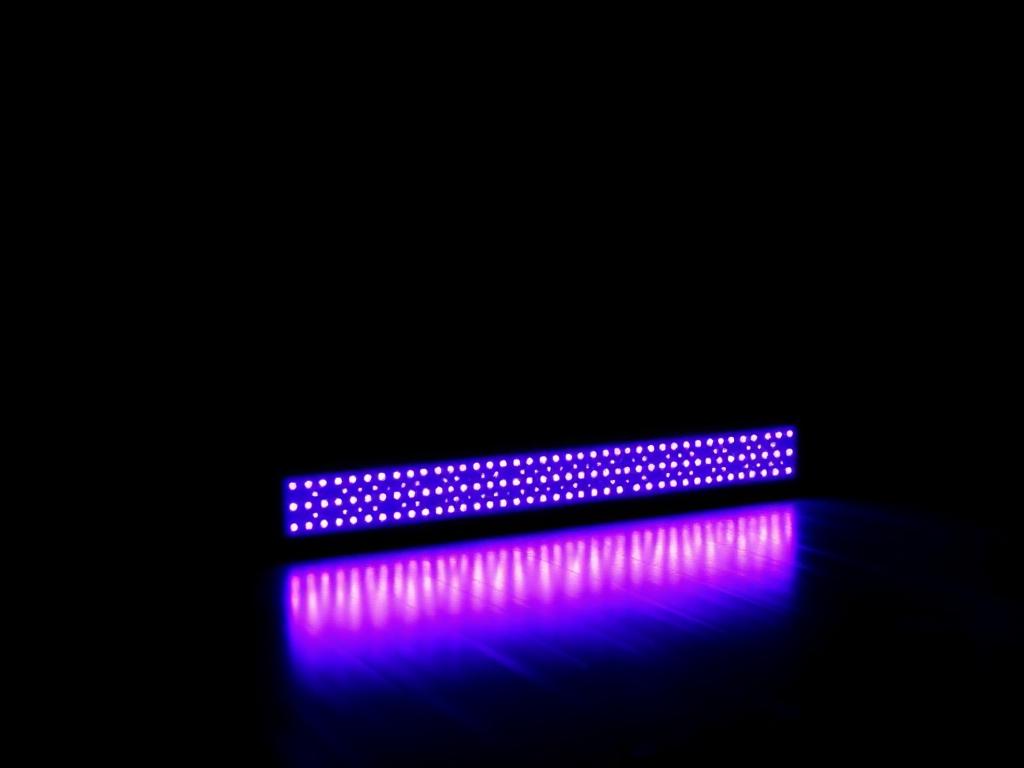 Blacklight / UV verlichting